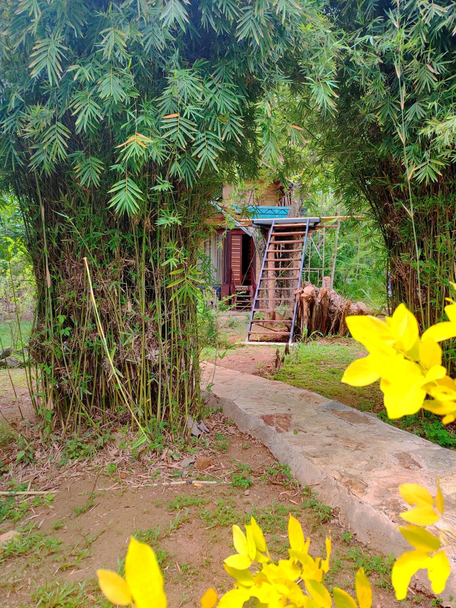Hasthi Safari Cottage Udawalawe Exterior photo