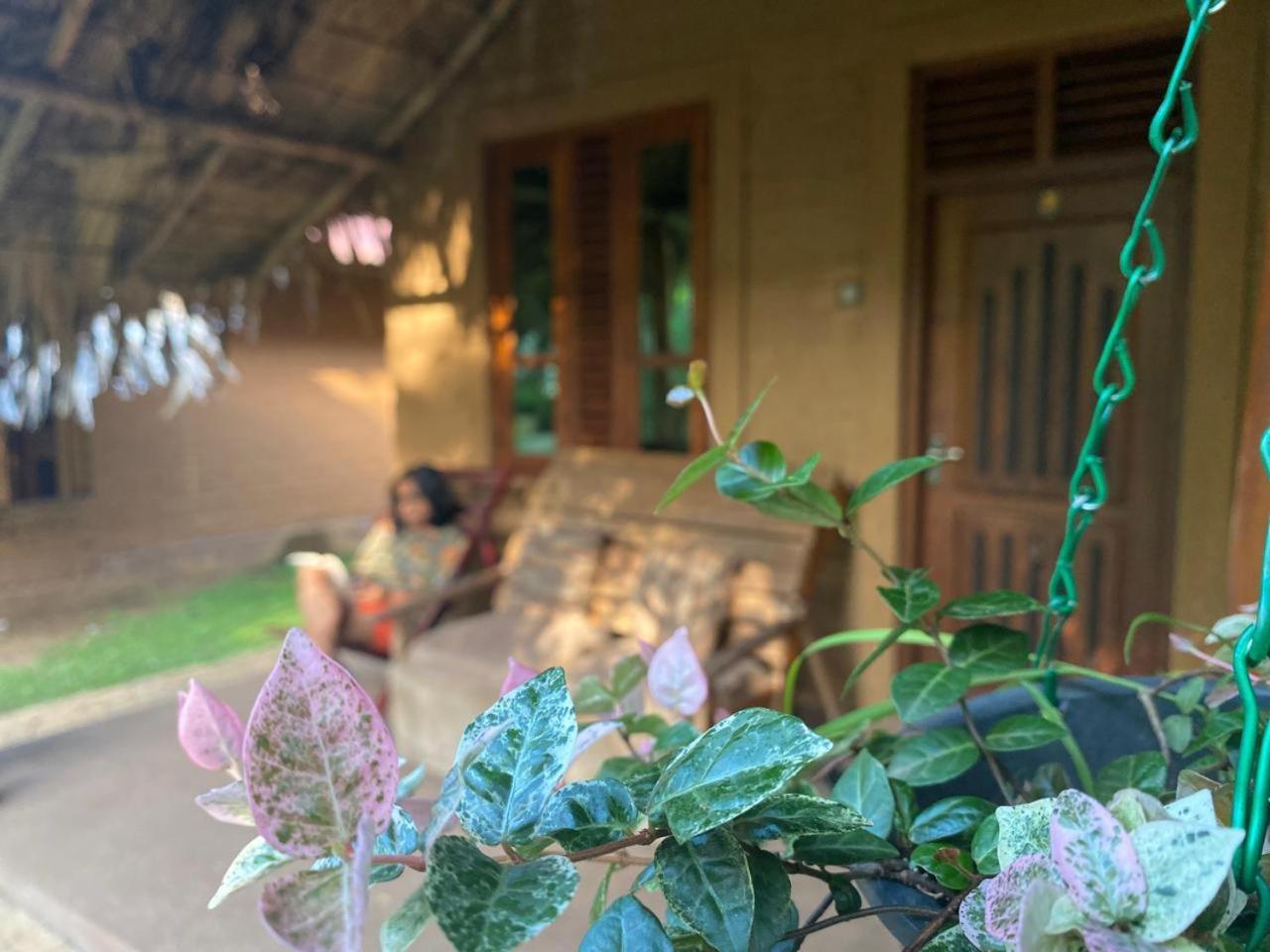 Hasthi Safari Cottage Udawalawe Exterior photo